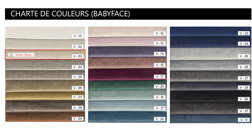 camélia angle velours beige